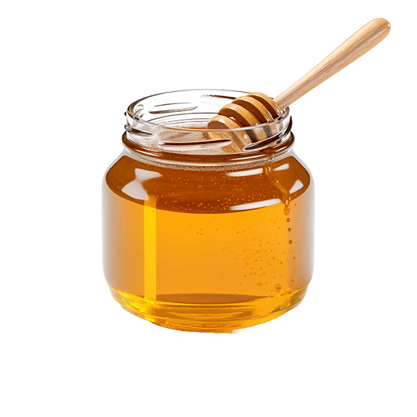 Όλα Όσα Χρειάζεται Το Σώμα Σας